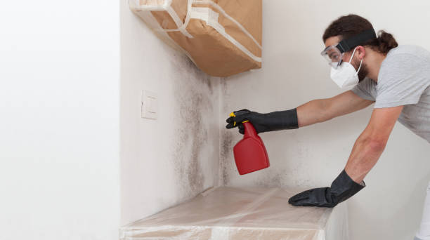 Professional Mold Testing technician working in Ashland, MA