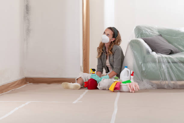Reliable Mold Testing contractor in Ashland, MA by WQB Mold Removal